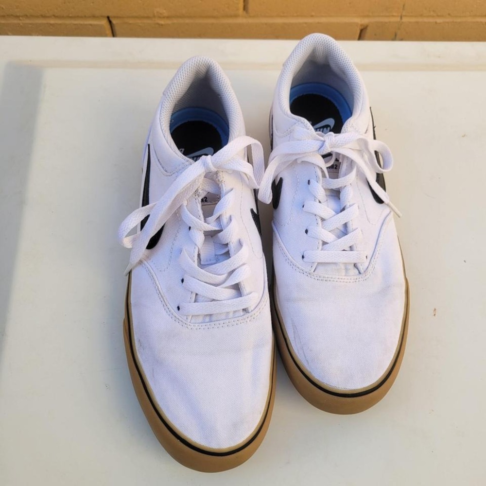 Men's Nike SB Shoes